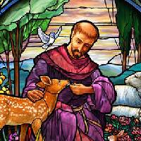 St Francis